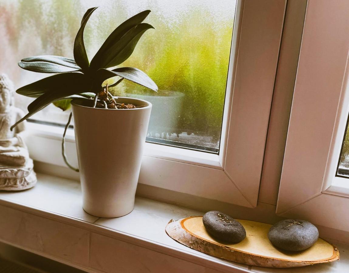 Apartment Modernes Im Gruenen - Stilvoll Und Komfortabel Cologne